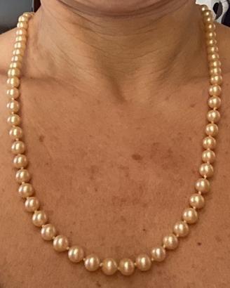 Collana perle avorio  vintage elegante