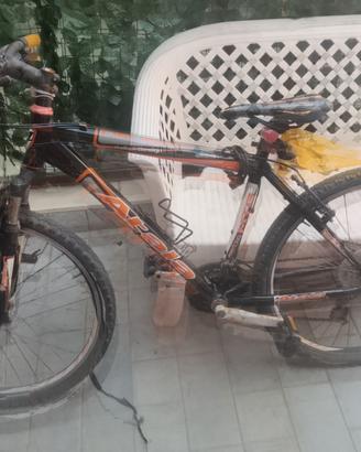 bicicletta
