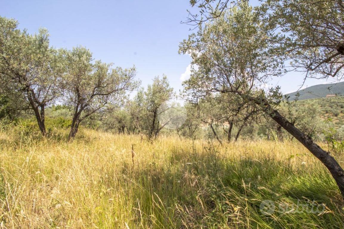 RUSTICO A PALOMBARA SABINA - Vista 2