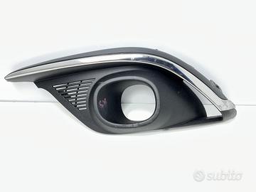GRIGLIA FARETTO ANT SX RENAULT Scenic Serie 261529