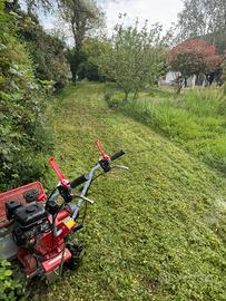 Trincia /Mini escavatore