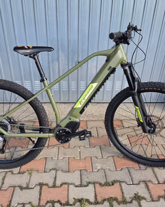 Bici Mountain Bike E bike 