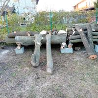 tronchi di legno 
