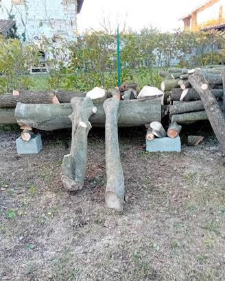 tronchi di legno 