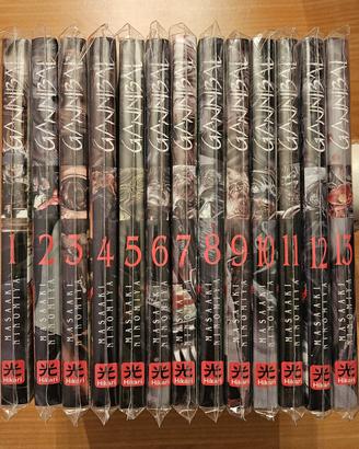 Gannibal - Serie completa (13 volumi + 4 Box)