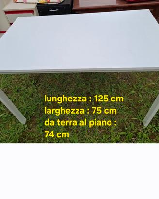 tavolo : 125cm / 75cm / 74cm
