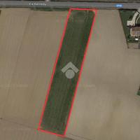 TER. AGRICOLO A SAN GIORGIO IN BOSCO