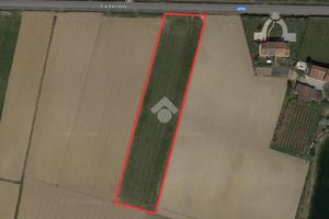 TER. AGRICOLO A SAN GIORGIO IN BOSCO