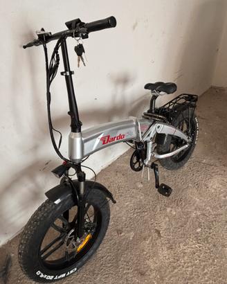 Bici elettrica