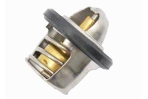 Termostato acqua Malaguti Madison 250 - 95601000