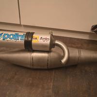 Polini evo 6 piaggio NUOVA