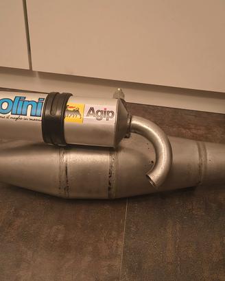 marmitta Polini evo 6 piaggio NUOVA