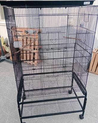 Disponibili subito