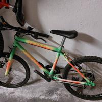 bici mountain bike del 20 