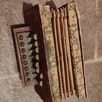 organetto o fisarmonica