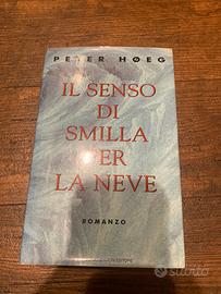 Il senso di Smilla per la neve