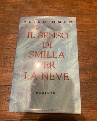 Il senso di Smilla per la neve