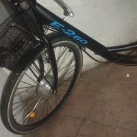 bicicletta elettrica 