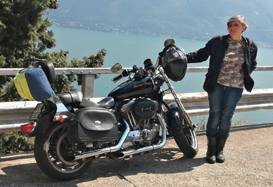 Harley Davidson Sportster 883 Super Low