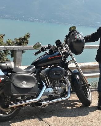 Harley Davidson Sportster 883 Super Low