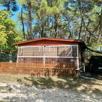 Roulotte con preingresso in legno