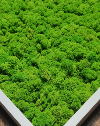Verde stabilizzato