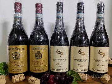 5 bottiglie di Nebiolo d'Alba ,