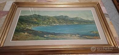 quadro isola d'Elba ( Procchio )