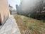Immagine 15