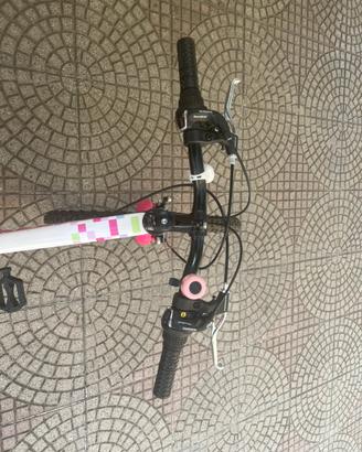 Bici da bambina dai 13-14 anni