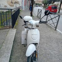 bicicletta elettrica