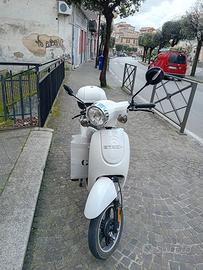 bicicletta elettrica