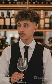 Barista, cameriere , barman