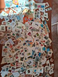 collezione francobolli piu' raccoglitore