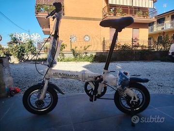 bici pieghevole Wanqida