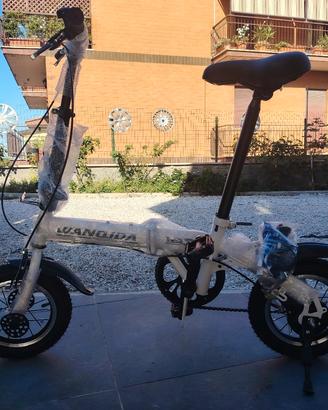 bici pieghevole Wanqida