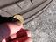 Immagine 6