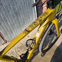 cannondale topstone carbon