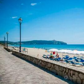 Casetta mare tra ulivi e fiori Caprioli Palinuro