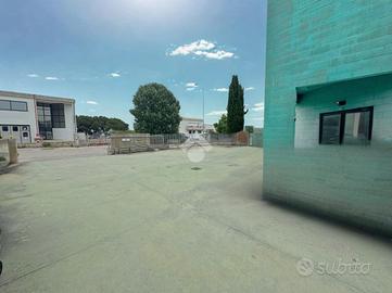 CAPANNONE A CORROPOLI