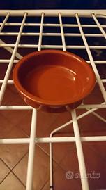 CIOTOLE CREMA CATALANA  (30€ TRATTABILI)