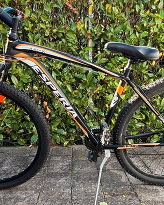 Mountain bike