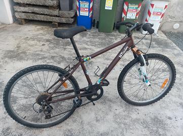 bicicletta bambino 20 pollici 