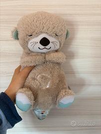 Lontra sogni d’oro