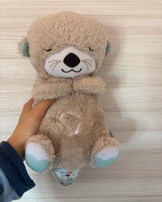 Lontra sogni d’oro