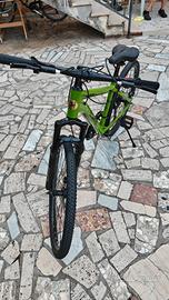 Mountain bike 