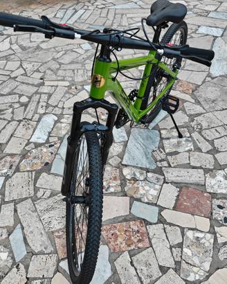 Mountain bike 