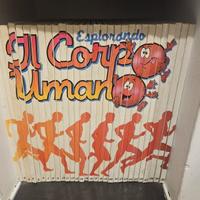 Lotto fascicoli Esplorando il corpo umano 1-30