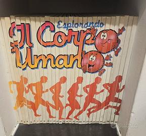 Lotto fascicoli Esplorando il corpo umano 1-30