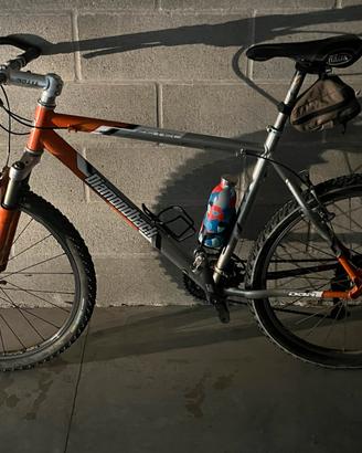 Mtb muscolare taglia L.